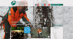 Desktop Screenshot of baysf.de
